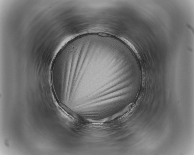 X0000094791342200712071219