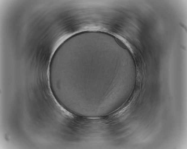 X0000094791343200712071219