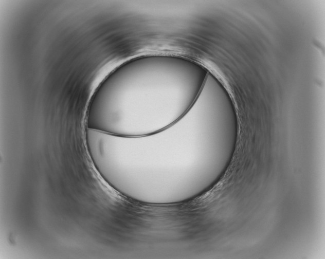 X0000094791344200712071219