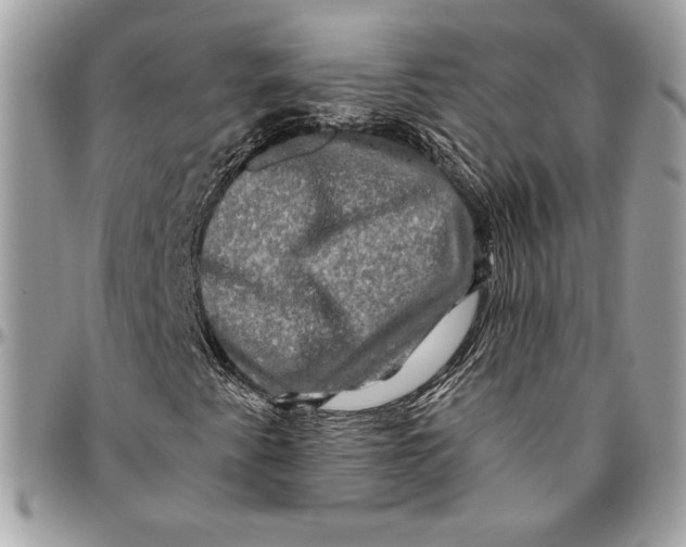 X0000094791345200712071218