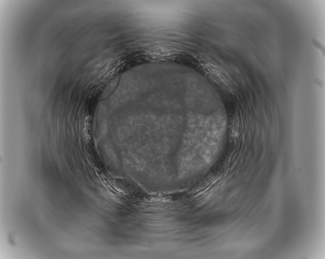 X0000094791346200712071218