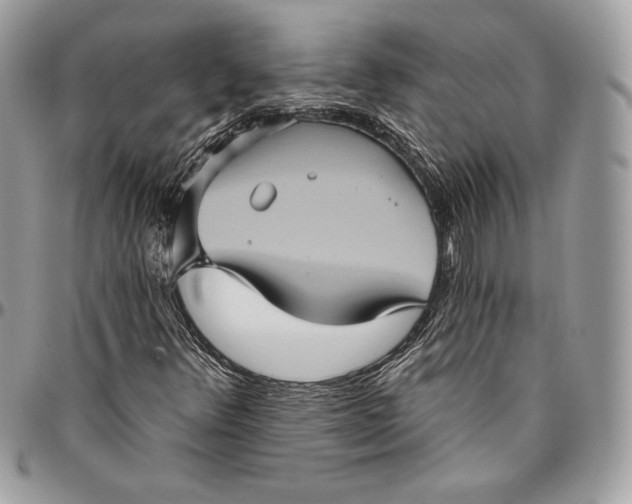 X0000094791348200712071218