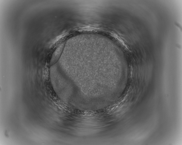 X0000094791350200712071218