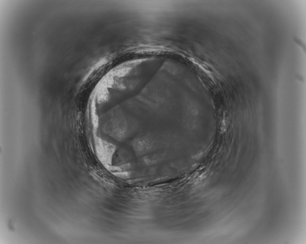 X0000094791351200712071218