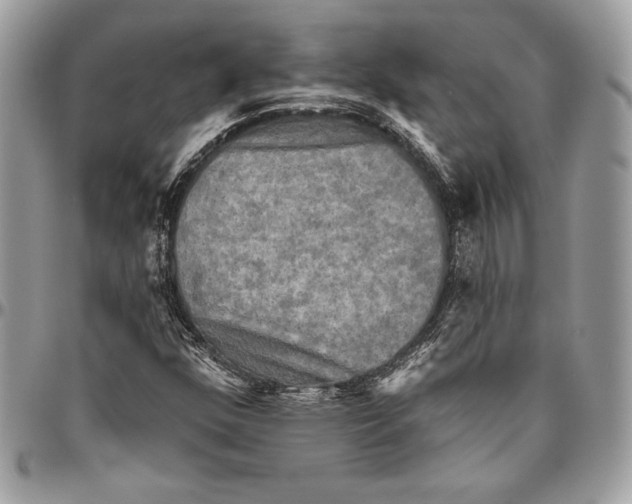 X0000094791352200712071218