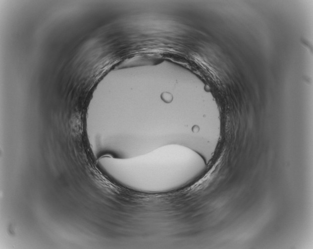 X0000094791353200712071218