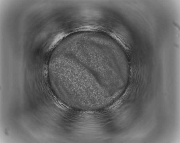 X0000094791355200712071218