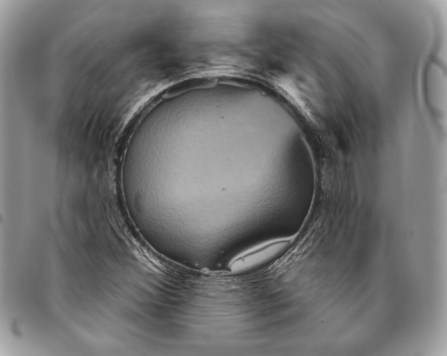 X0000094791356200712071218