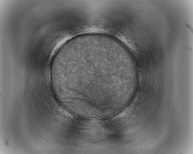 X0000094791358200712071218