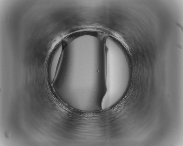 X0000094791360200712071218