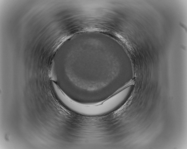 X0000094791361200712071218