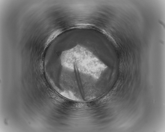 X0000094791362200712071218