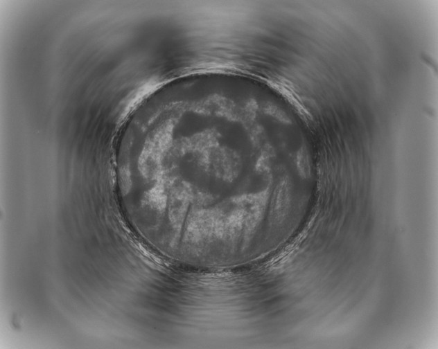 X0000094791363200712071218