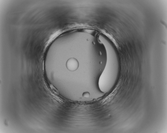 X0000094791365200712071218