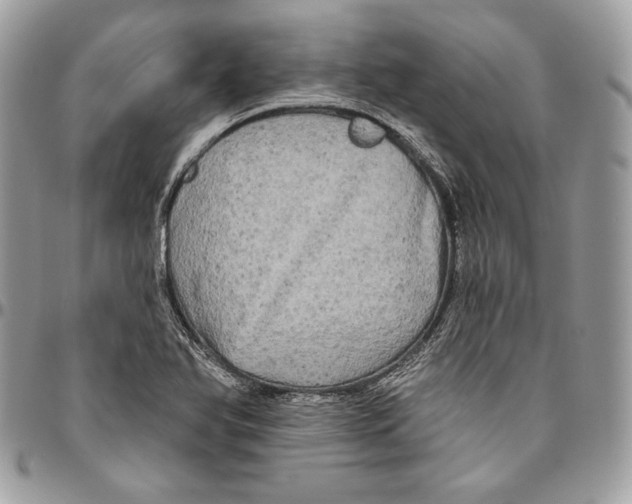 X0000094791366200712071218