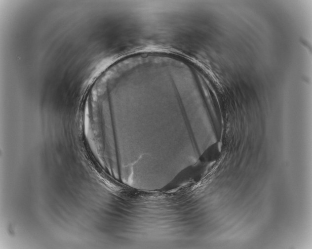 X0000094791367200712071218