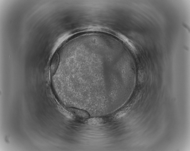 X0000094791368200712071218