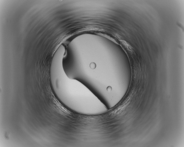 X0000094791369200712071218