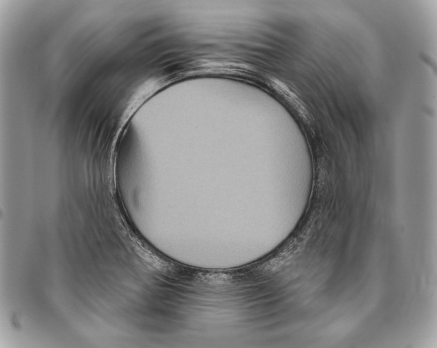 X0000094791370200712071218