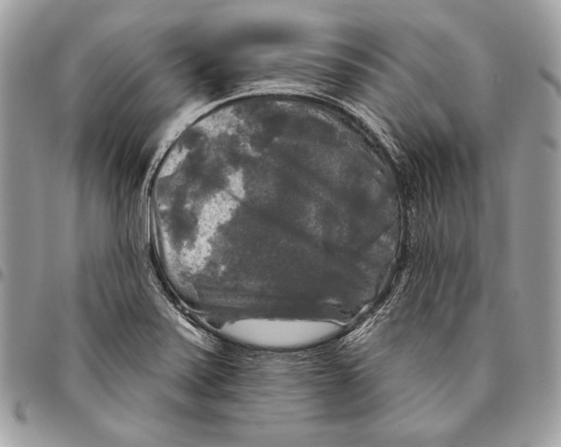 X0000094791371200712071218