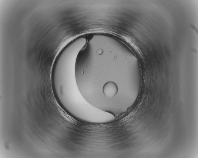 X0000094791372200712071218