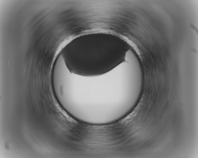 X0000094791373200712071218