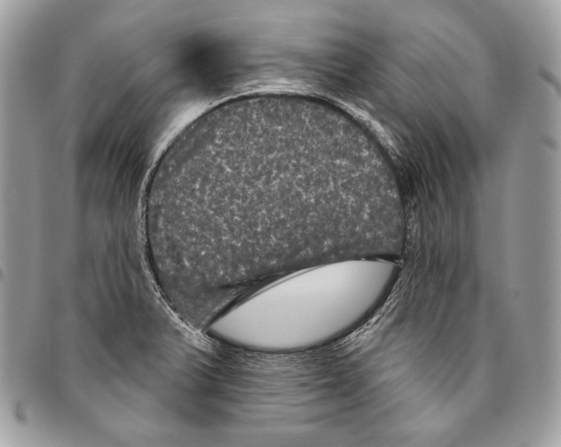 X0000094791375200712071218