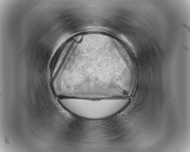 X0000094791376200712071218