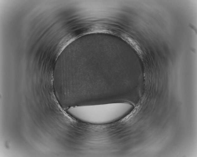 X0000094791377200712071218