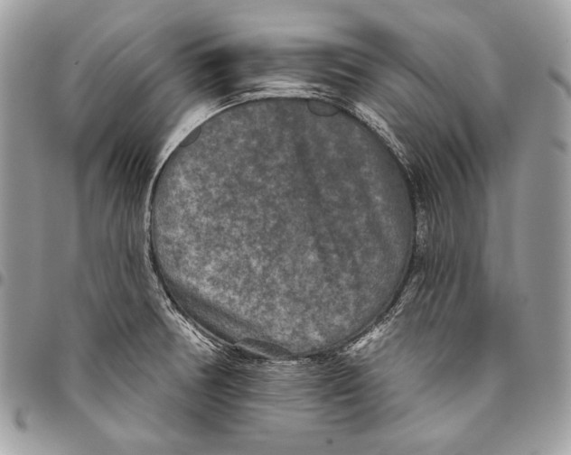 X0000094791378200712071218