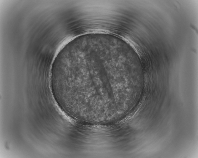 X0000094791379200712071218