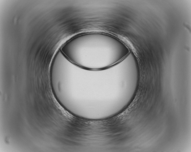 X0000094791380200712071218