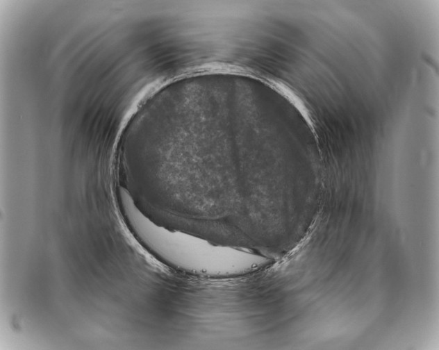 X0000094791381200712071218