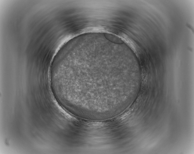 X0000094791382200712071218