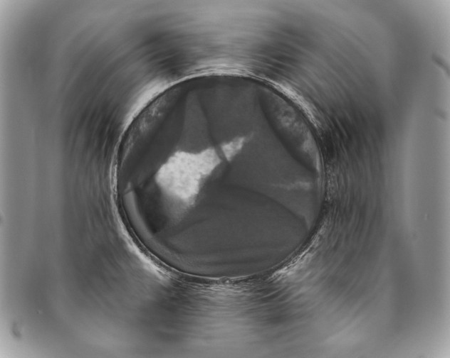 X0000094791383200712071218