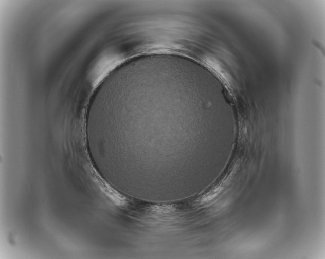 X0000094791384200712071218