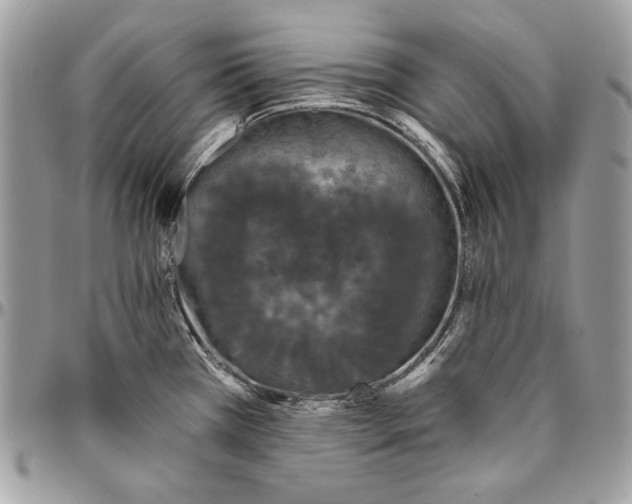 X0000094791385200712071218