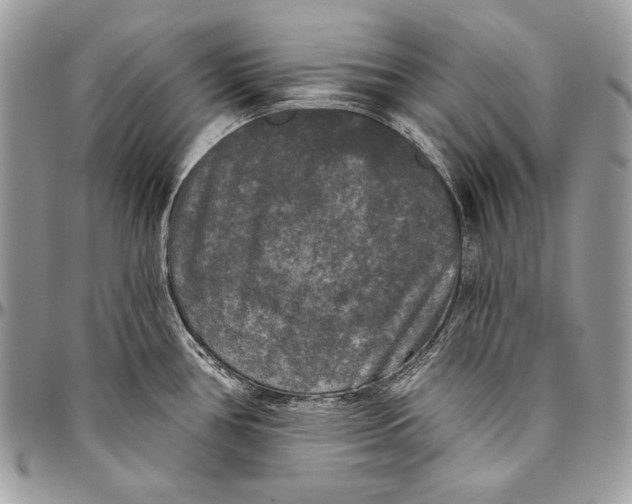 X0000094791386200712071218