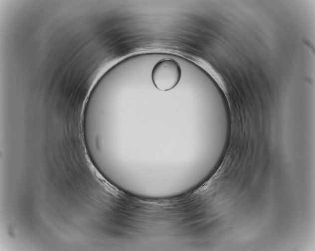 X0000094791388200712071217