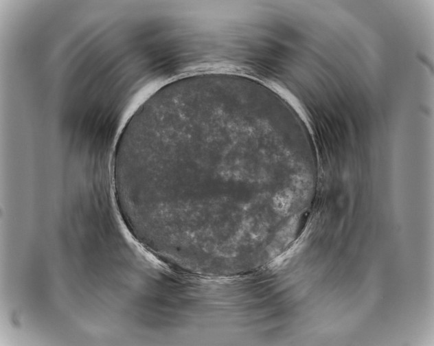 X0000094791389200712071217