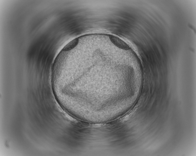 X0000094791390200712071217