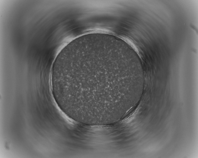 X0000094791391200712071217