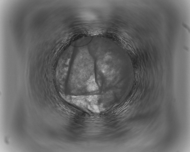 X0000094791393200712071217