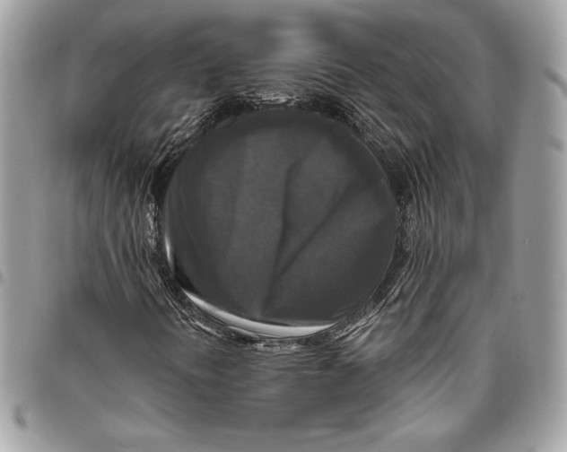 X0000094791394200712071217