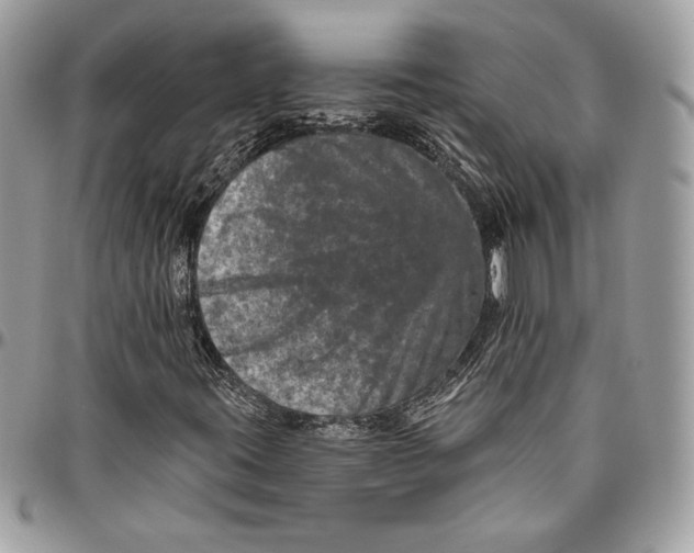 X0000094791395200712071217