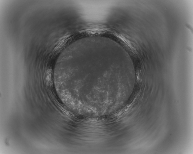 X0000094791396200712071217