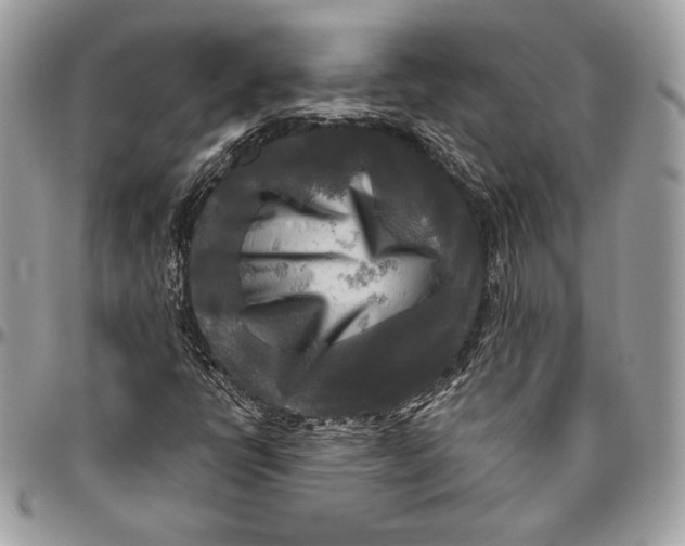 X0000094791398200712071217