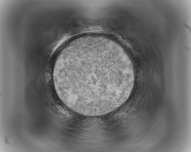 X0000094791400200712071217