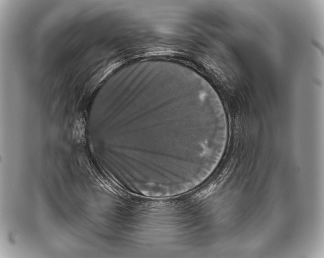 X0000094791401200712071217