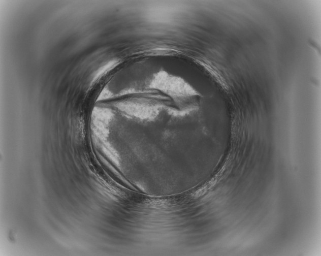 X0000094791402200712071217